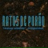 Ratos de Porão