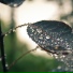 Dulces Sueños, Musica para Meditar, Sueño Lucido