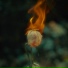 Tako Tsubo