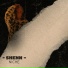Shenn
