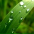 DjWasser