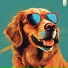 Spaniel Mac, luv pug, lapdog