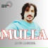 Javed Amirkhel