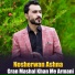 Nosherwan Ashna
