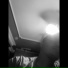 Dinjo