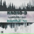 KROKO-D feat. T63