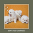 Dog Chill Out Music