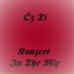 DJ Wag