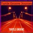 Turtle Groove