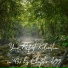 Essential Sleep Music