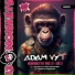 Adam Vyt