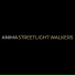 Streetlight Walkers