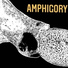 Amphigory