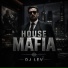 DJ LEV