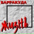 Barrakuda