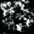 ONIMXRU, merunes