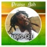 Ras Gee