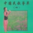 方琼, 许芸, 杨菲