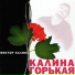 ΠΠΈΠΊΡΠΎΡ ΠΠ°Π»ΠΈΠ½Π° ("ΠΠ°Π»ΠΈΠ½Π° Π³ΠΎΡΡΠΊΠ°Ρ" - 2003)