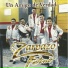 Zarpazo Felino
