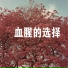伟晨轩