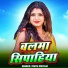 Pintu Pritam