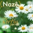 Berfin Aktay