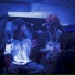 Xogoh4n feat. Selva Neon