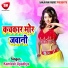 Kamlesh Upadhya