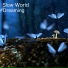 Slow World