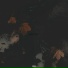 INVISN