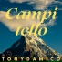 Tony D'Amico