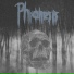 Phronesis