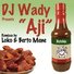 DJ Wady