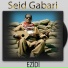 Seid Gabari
