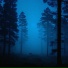 1gloom