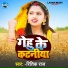 Ritik Raj