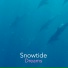 snowtide