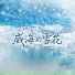 迪姨