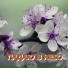 Сергей Грищук