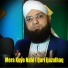 Qari ijazulhaq