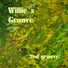 Willie's Groove