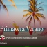 Puro dominicano Kalidad chalas