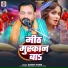 Shashi Anari