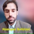 Hamayun Gulistani