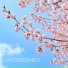 daydreemer
