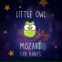 Little Owl