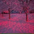 WhiteИoise