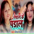 Niraj Raja