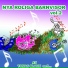 Piccolo-Ensemblen
